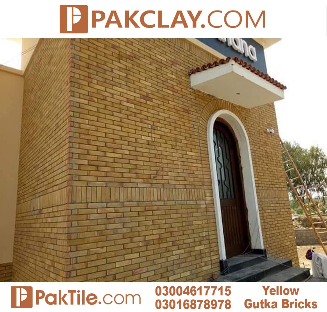 Facing brick wall