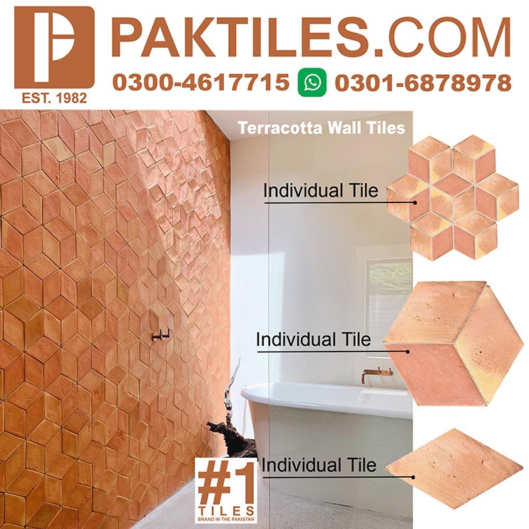 3 Terracotta 3D Tiles in Bhalwal