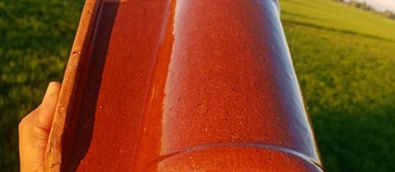 Khaprail Colour Design in Pakistan